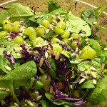 spinach broccoli grape salad